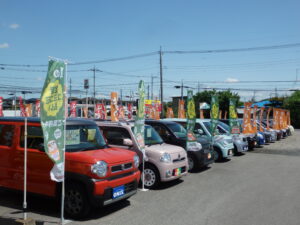 ,栃木県,軽自動車,